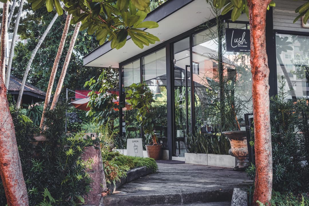 Lush Cafe