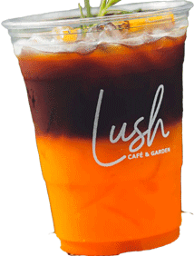 americano orange