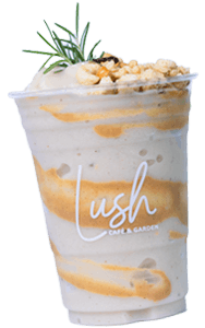 banana peanut butter smoothie