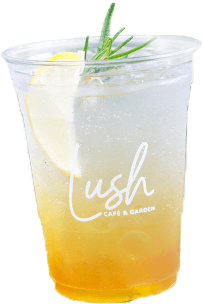 lemon soda