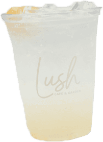 litchee soda